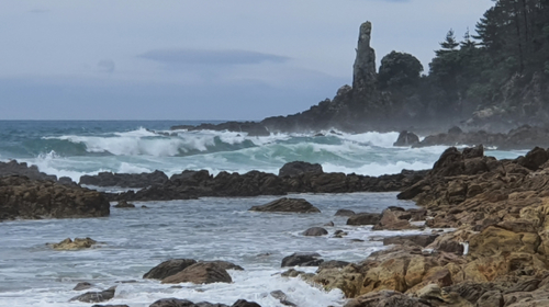 Holiday Snapshots: Seascape
